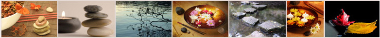 accupuncture Seattle